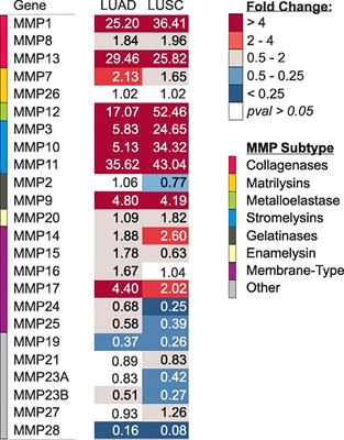 The multifaceted roles of matrix metalloproteinases in lung cancer